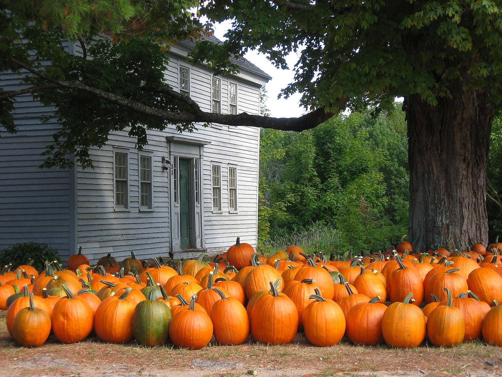 Fall Is Upon Us New England