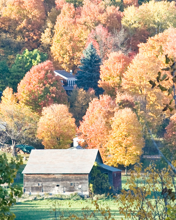 Barn of Color #2 (user submitted)