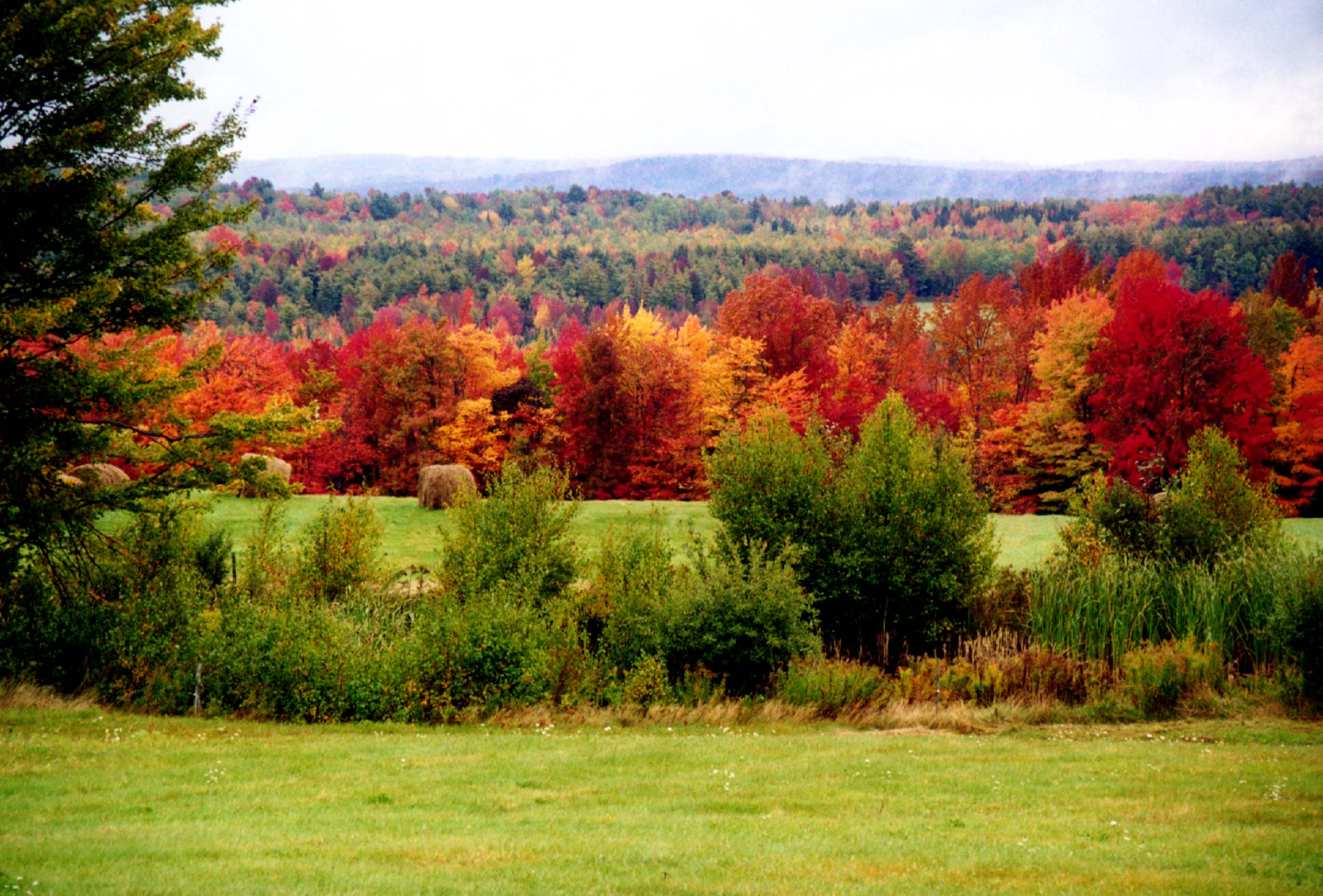 Fall Field (user submitted)