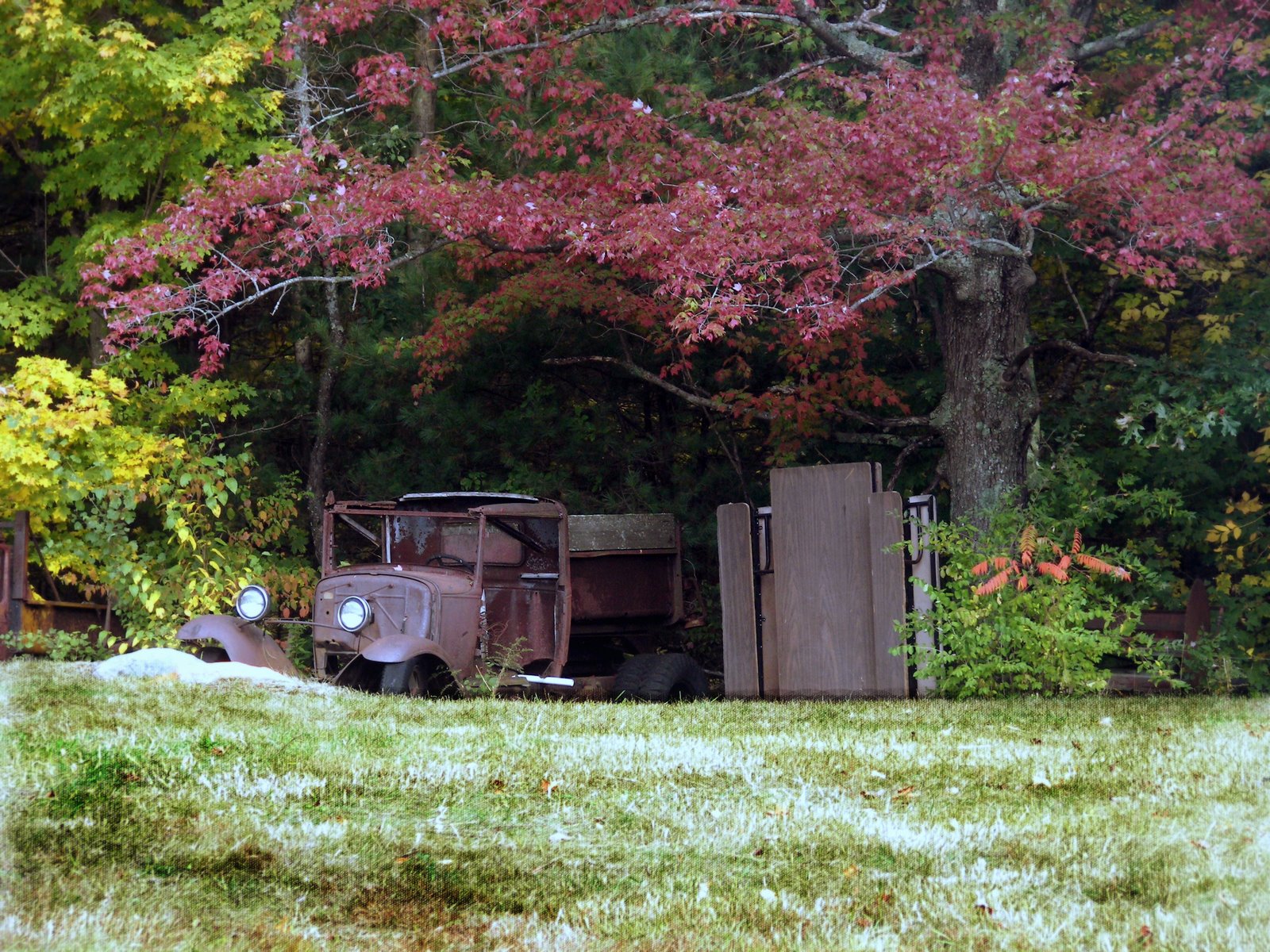 Purples Leaves: Rusted Truck (user submitted)
