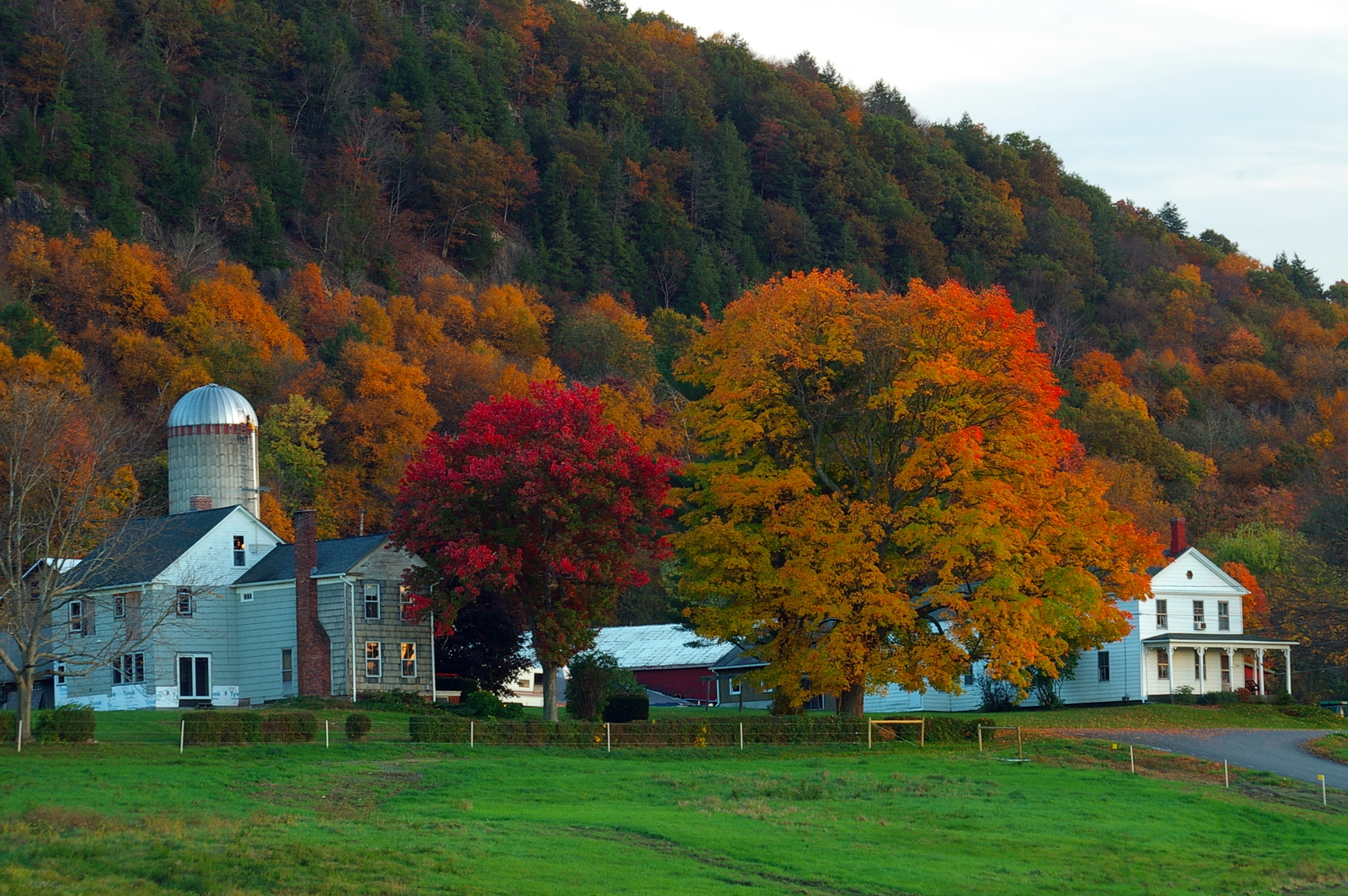 Farm in Fall Foliage (user submitted)