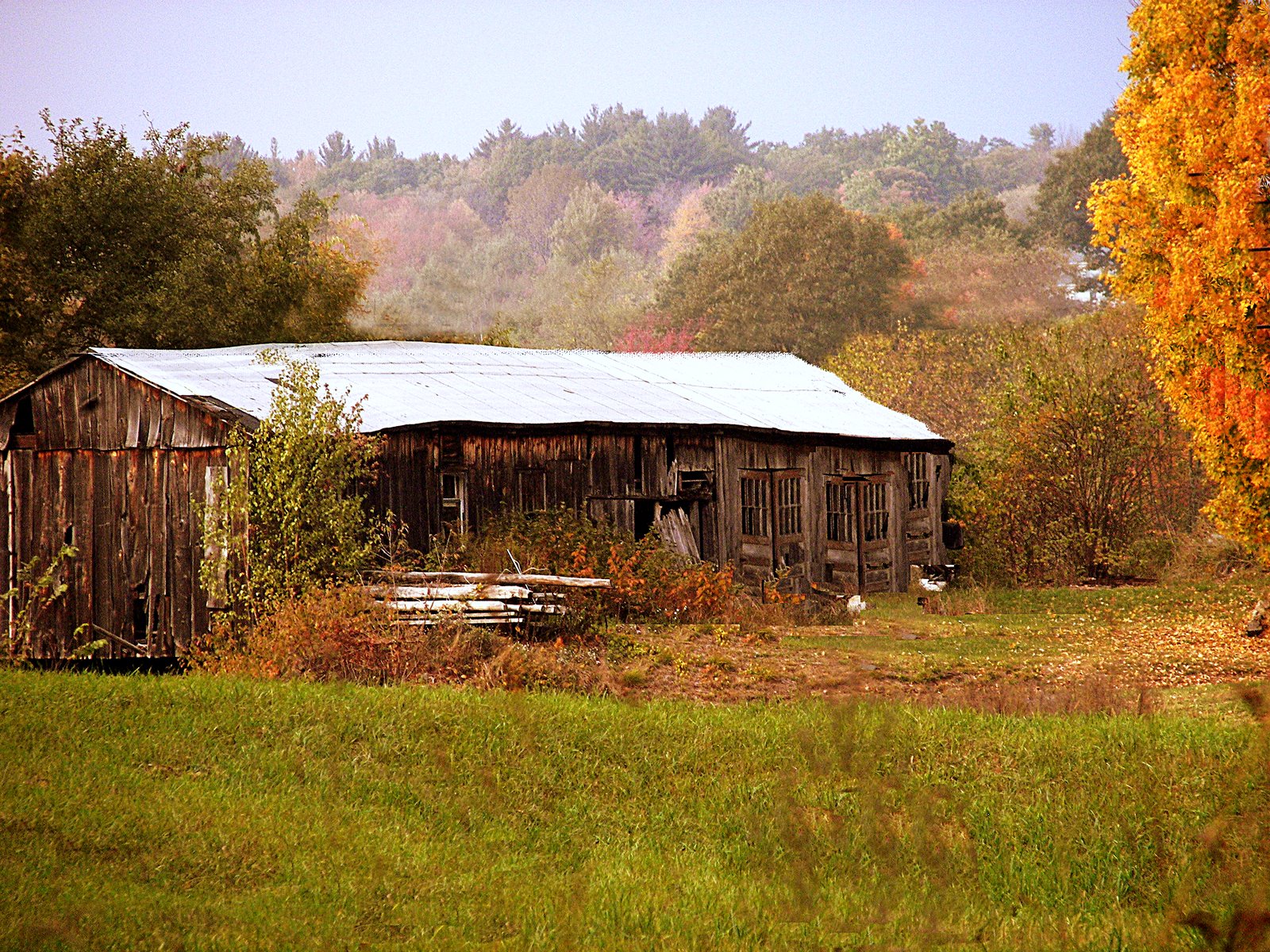 Barn in Fall (user submitted)