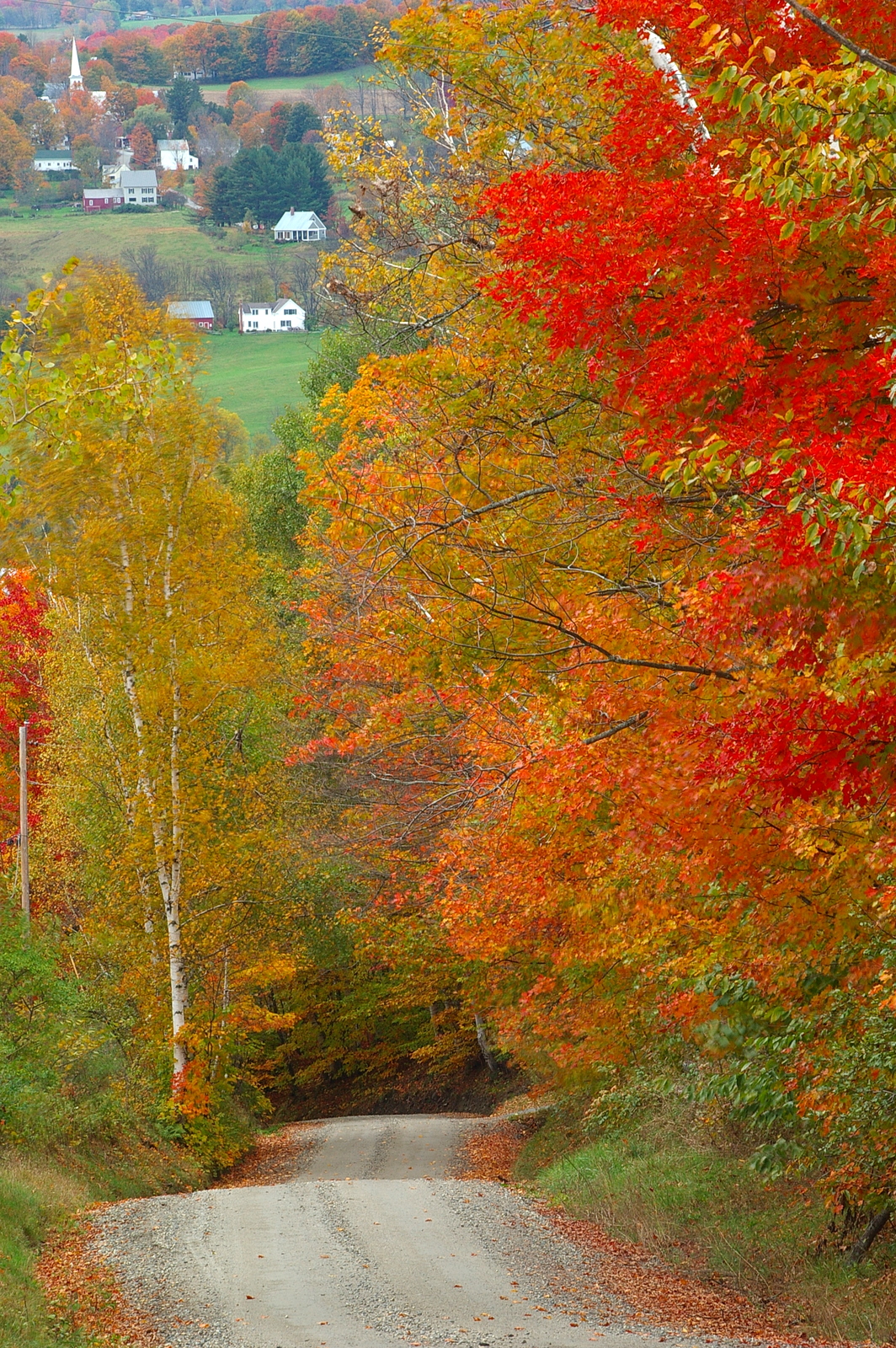 Vermont Country Road in Autumn (user submitted)
