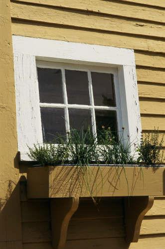 Window Box (user submitted)