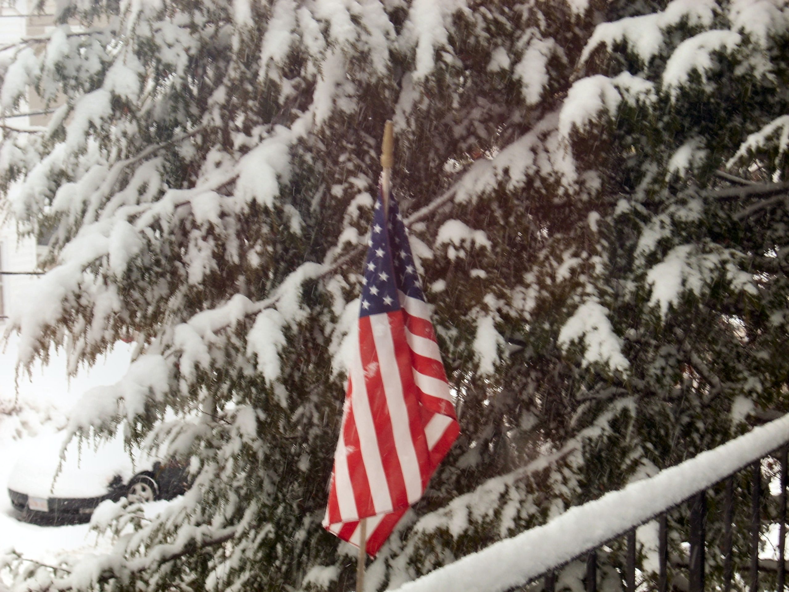 Snow Spangled Banner (user submitted)