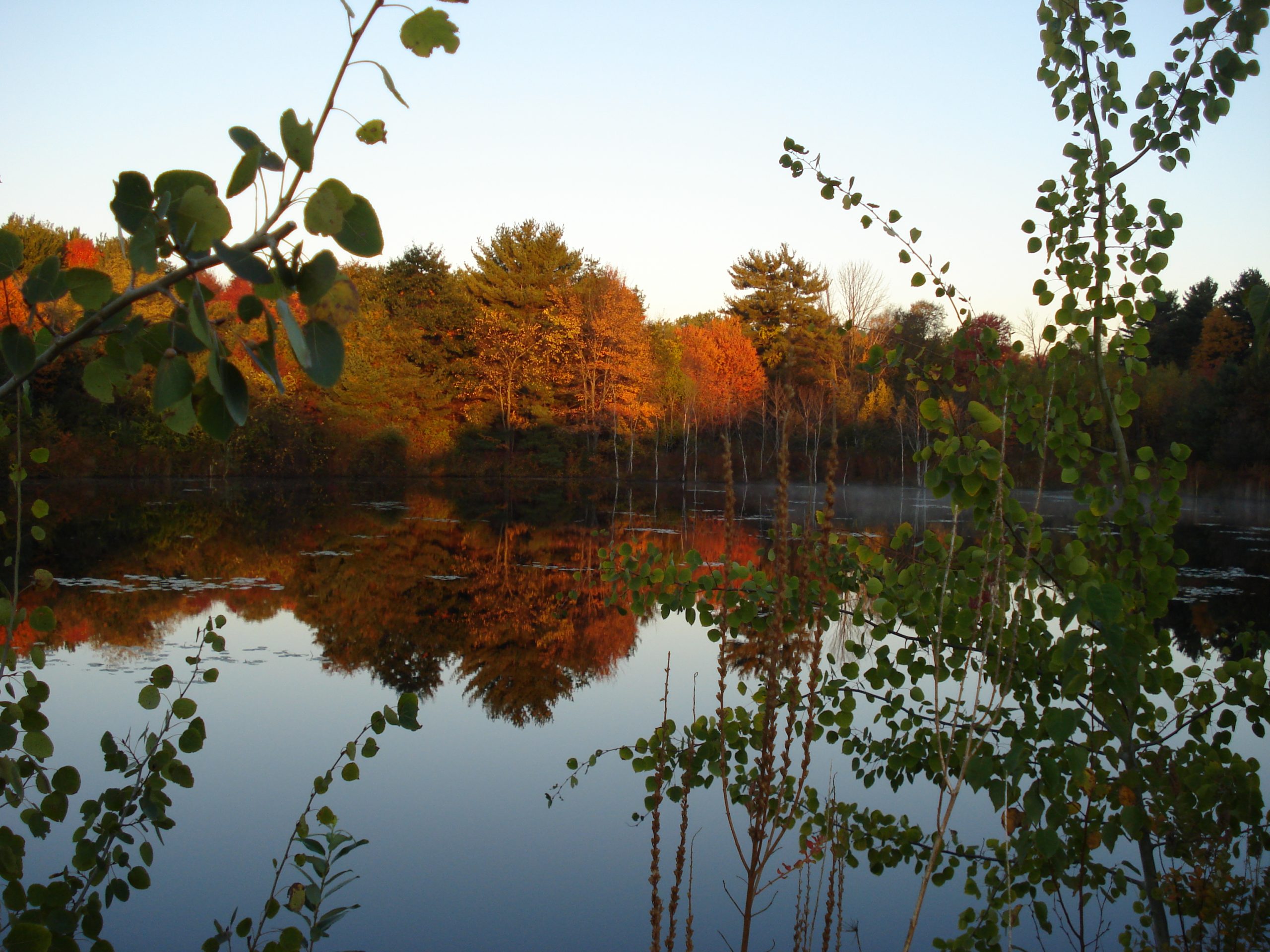 Fall in New England (user submitted)