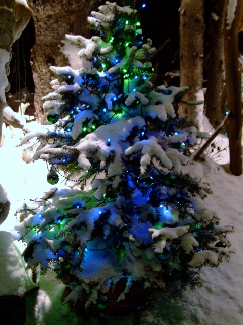 Decorated Tree in Snow (user submitted)