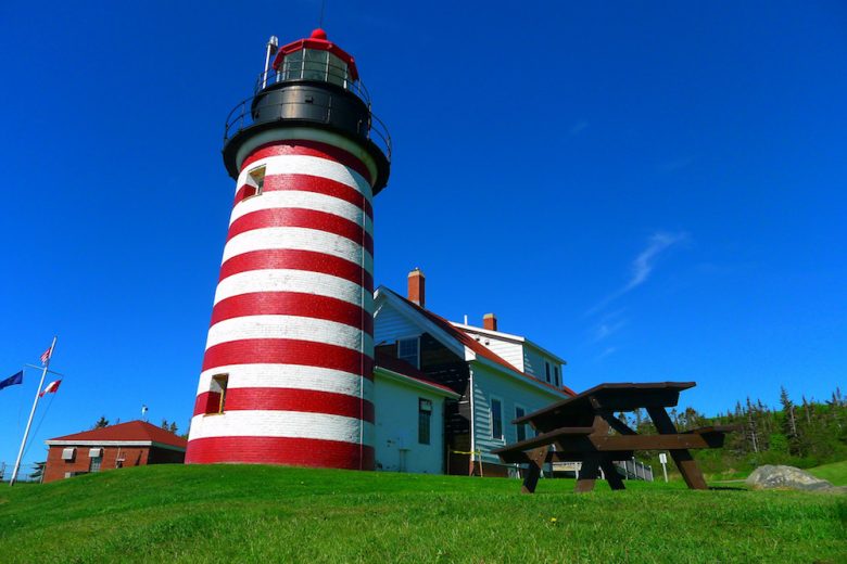Quoddy Head State Park | Favorite Maine State Parks