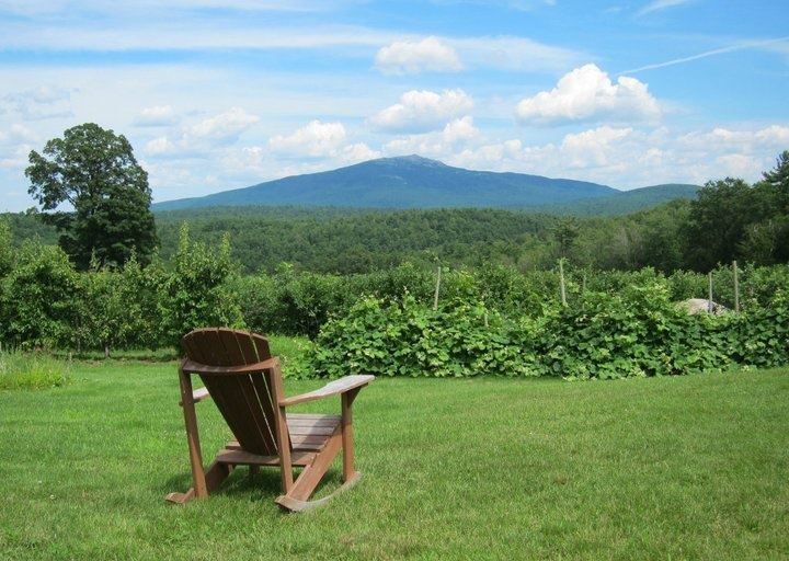 monadnock-berries-nh-berry-picking