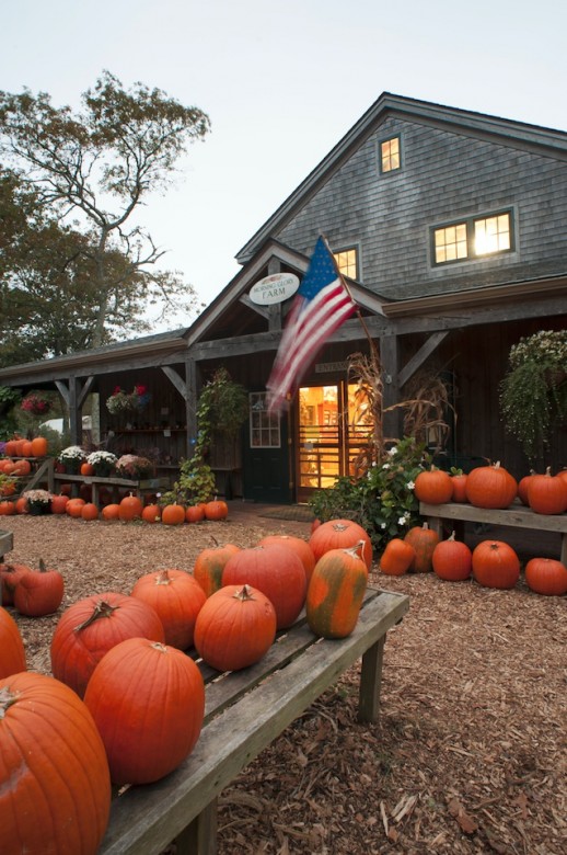 5 Reasons to Visit Edgartown This Fall