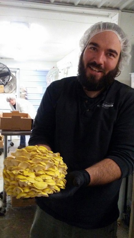Mousam Valley Mushrooms Operations Manager Aron Gonsalves holds a bouquet of mushrooms.