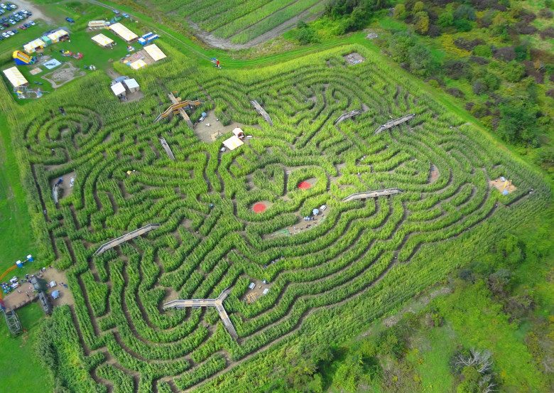 Best Corn Mazes in New England