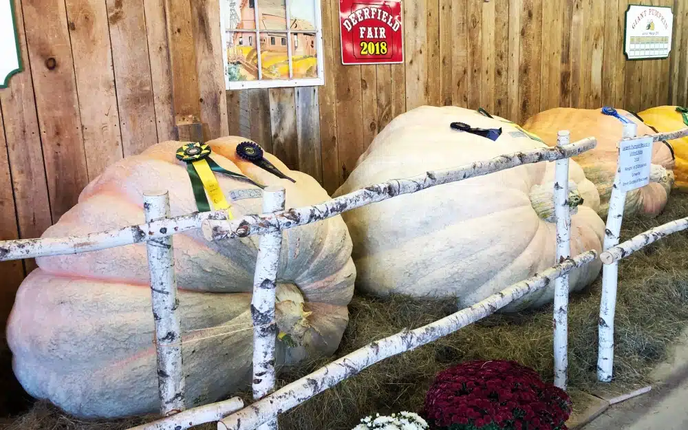 Best New England Fall Festivals