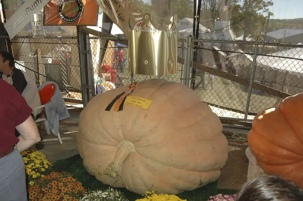 12 New England Fairs to Visit This Fall