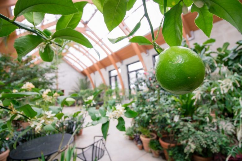 Best New England Indoor Gardens