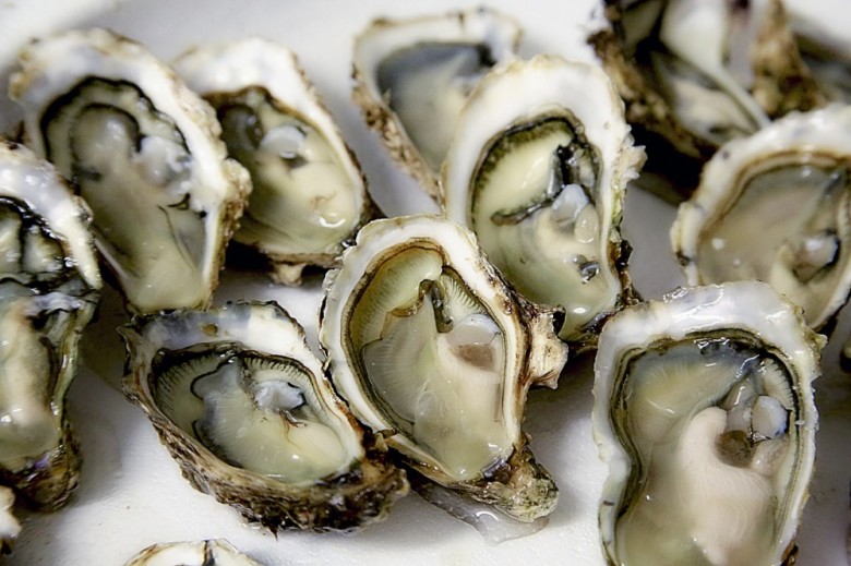 Oyster Guide | New England Oysters