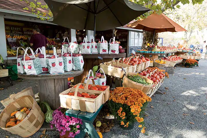 The Rhode Island farm coast road trip includes scenes like this one at Walker's Roadside Stand in Little Compton, RI.