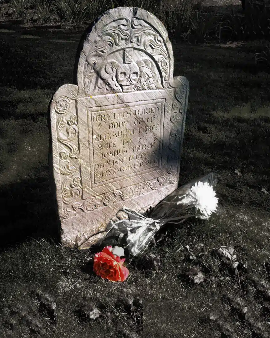 newenglandcuriosities1_JF