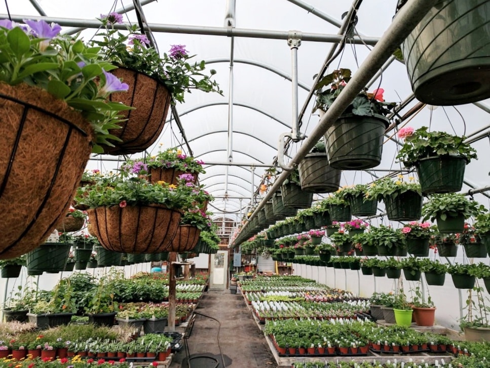 Best New England Nurseries & Garden Centers New England Today
