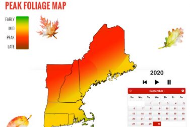 Peak Fall Foliage Map