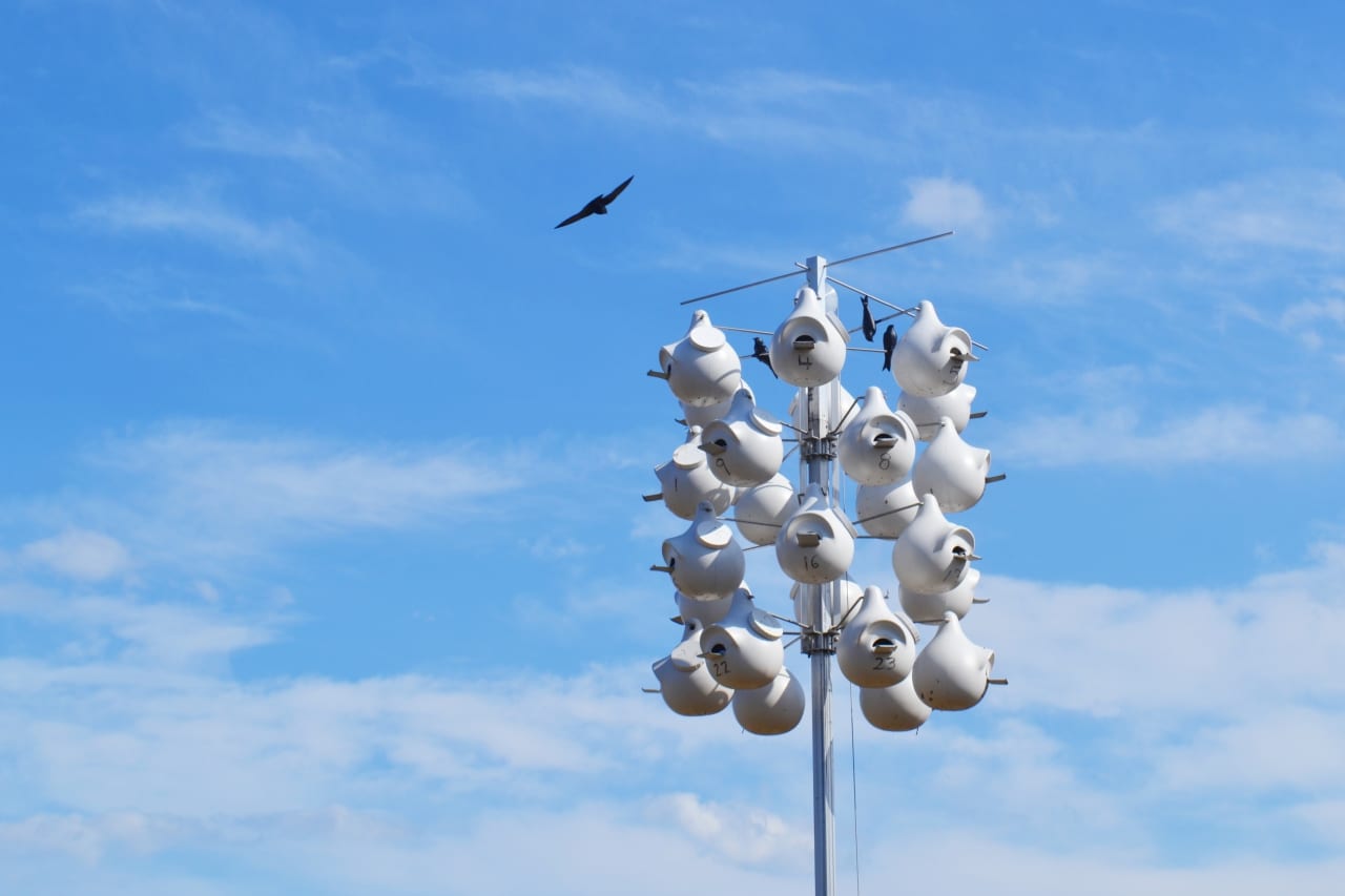 Best Things to Do on Plum Island in Summer