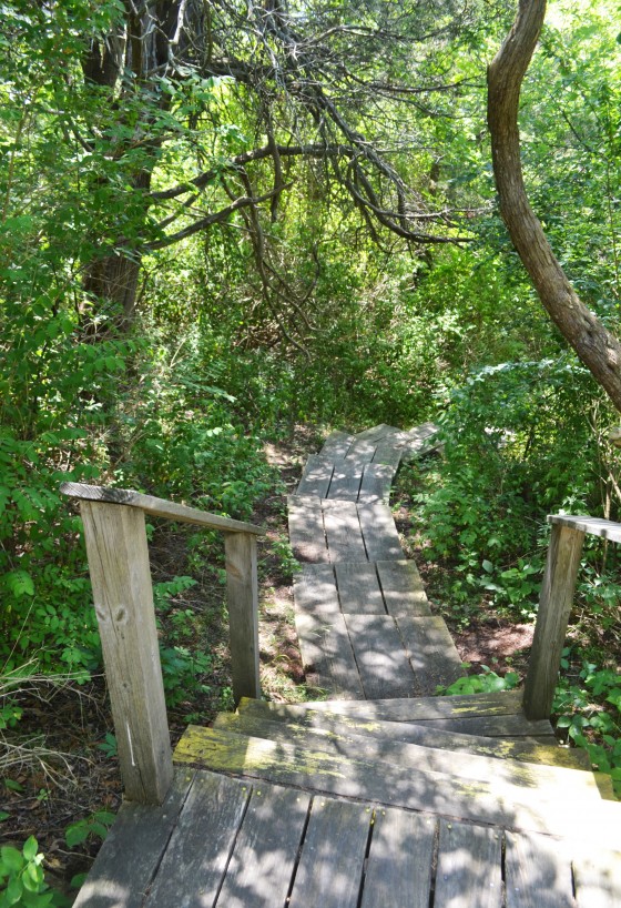 Best Things to Do on Plum Island in Summer