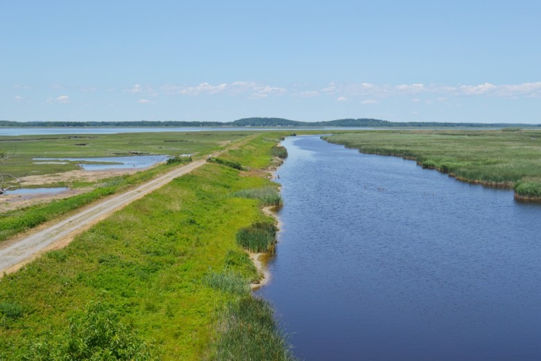 Things to Do on Plum Island in Summer