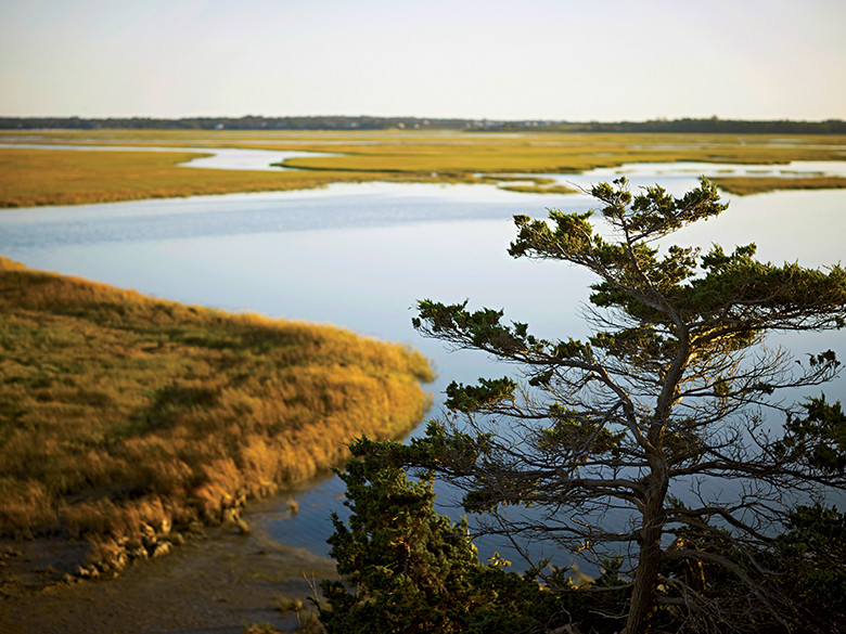 The Cape Cod National Seashore offers 11 self-guided nature trails within its borders, including a quarter-mile walk along Buttonbush Trail, which crosses through forest and offers different kinds of water views. 