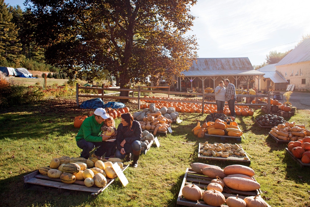 Fryeburg, Maine Could You Live Here? New England Today