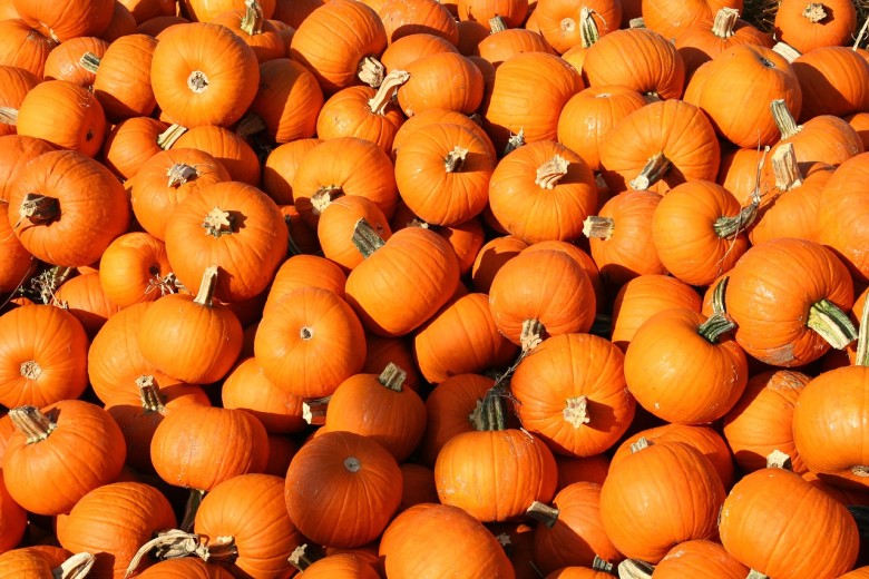 pumpkins-1249139_1280