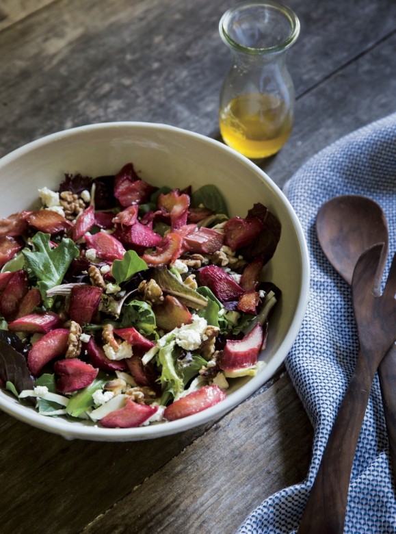 Rhubarb Salad with Fennel & Goat Cheese