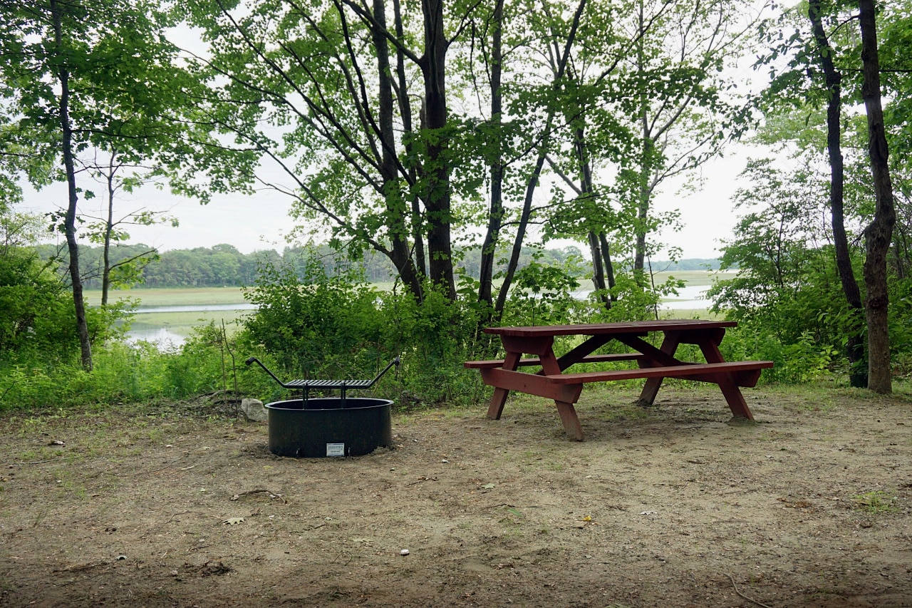 'Prefer the old school camping experience? Sandy Pines has 100 classic campsites, too. Each comes with a picnic table and a new grill. 