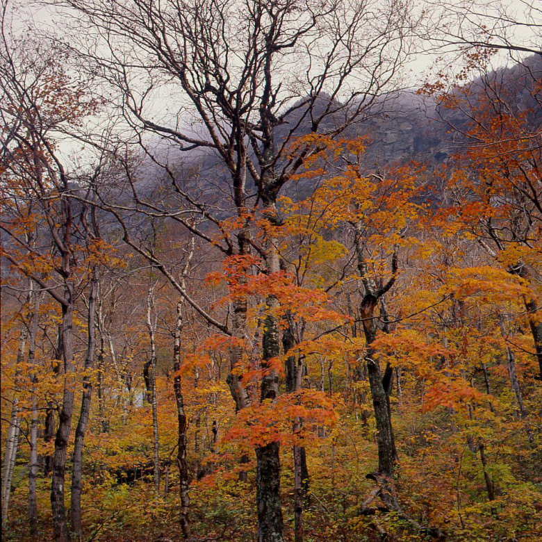 Smuggler's Notch - Cambridge, VT