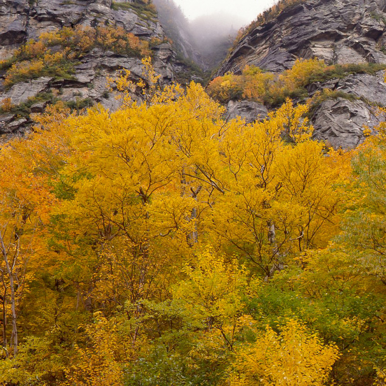 Smuggler's Notch - Cambridge, VT