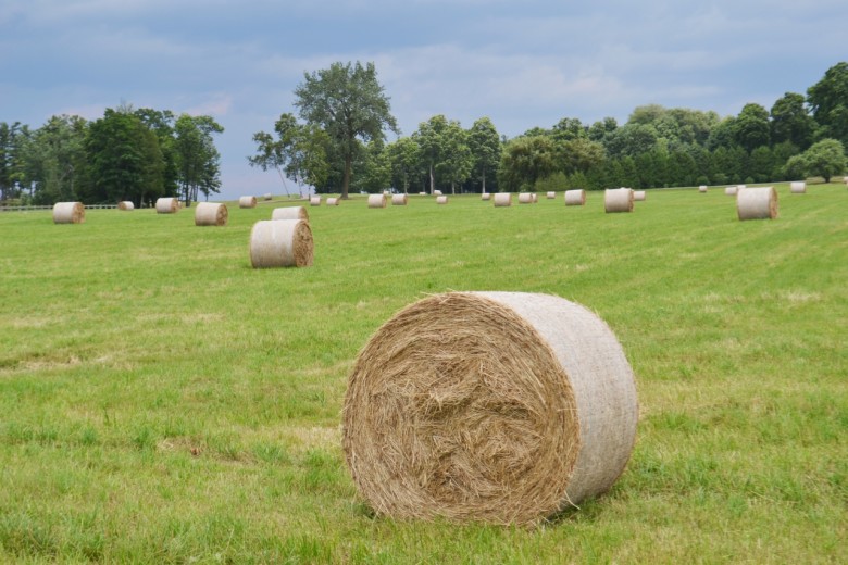 Stormy skies and perfectly rolled bales of hay. 