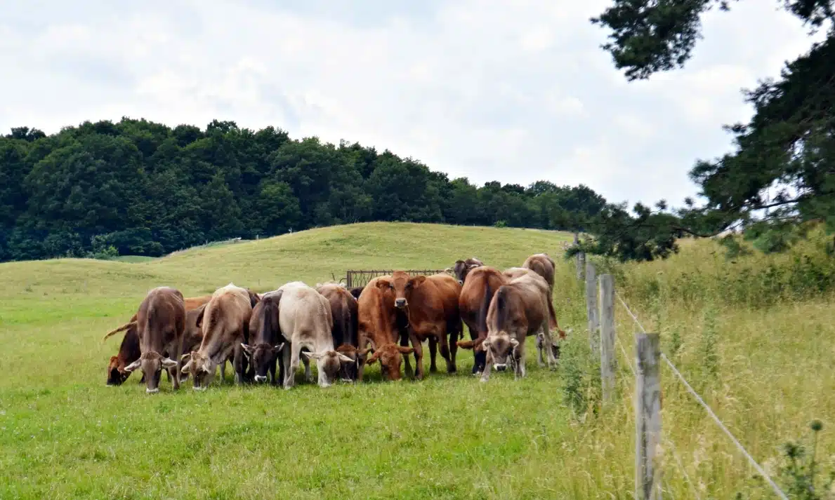 Shelburne Farms in Shelburne, Vermont