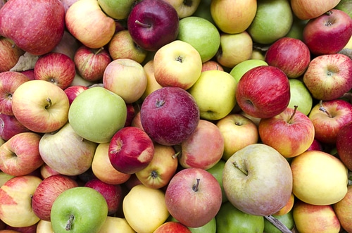 Apple Varieties