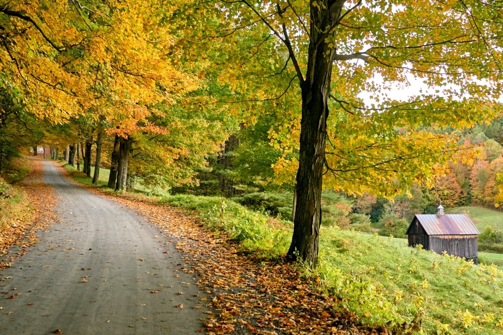 L'histoire de Sleepy Hollow Farm à Pomfret, VT / Comment une ferme du ...