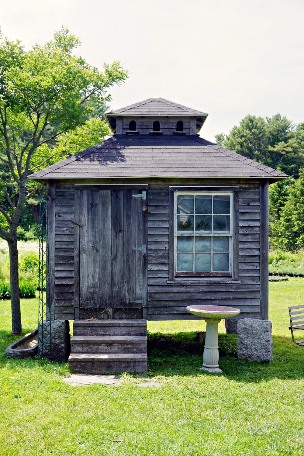 Why Snug Harbor Farm Is One of the Most Magical Places in Maine New