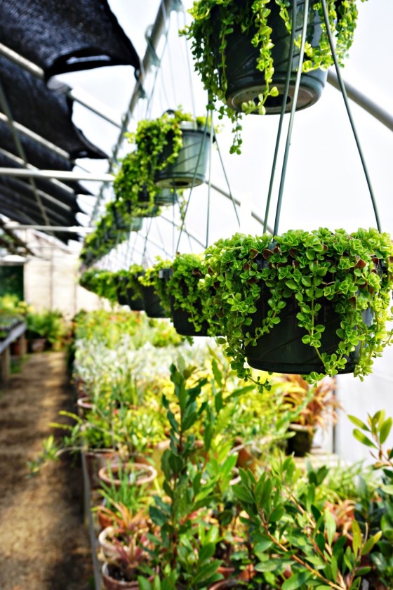 Why Snug Harbor Farm Is One of the Most Magical Places in Maine New