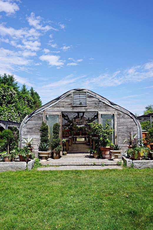 Why Snug Harbor Farm Is One of the Most Magical Places in Maine - New  England