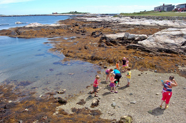 The beach at Star Island is a favorite stop for summer visitors.