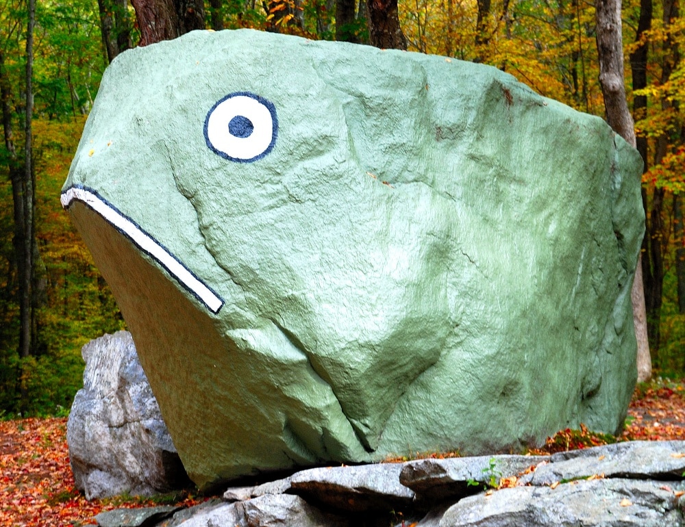 strange_roadside_frog_rock