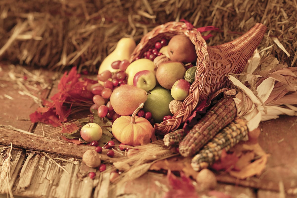 A Harvest of Thanksgiving