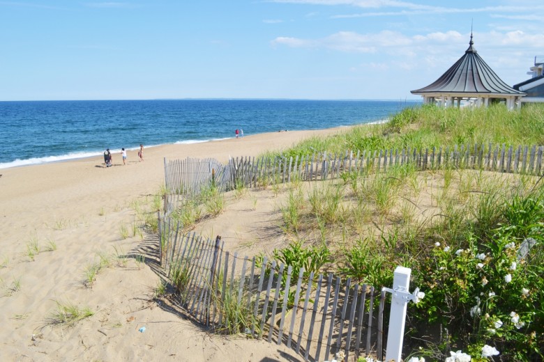 Things to Do on Plum Island in Summer