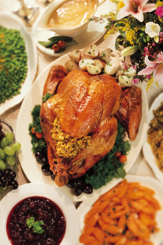 Turkey FAQ | A Thanksgiving Cheat Sheet