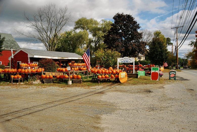 Farms Along Historic Route 20 in Massachusetts