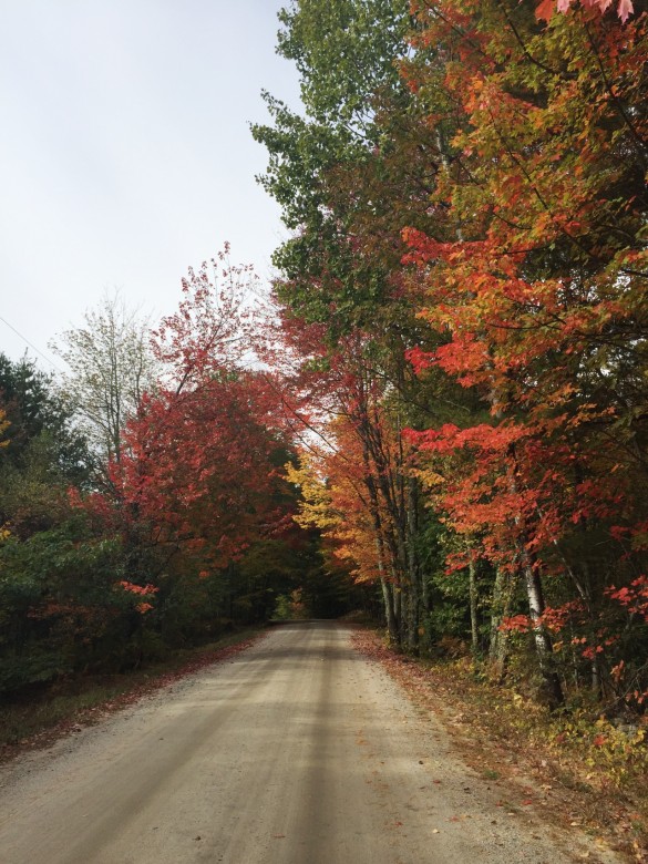 Touring New England in the fall