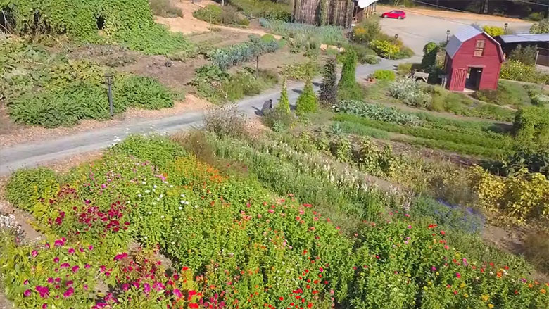 Episode 308: Farms and Foraging
