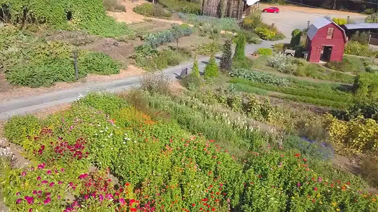 Episode 308: Farms and Foraging
